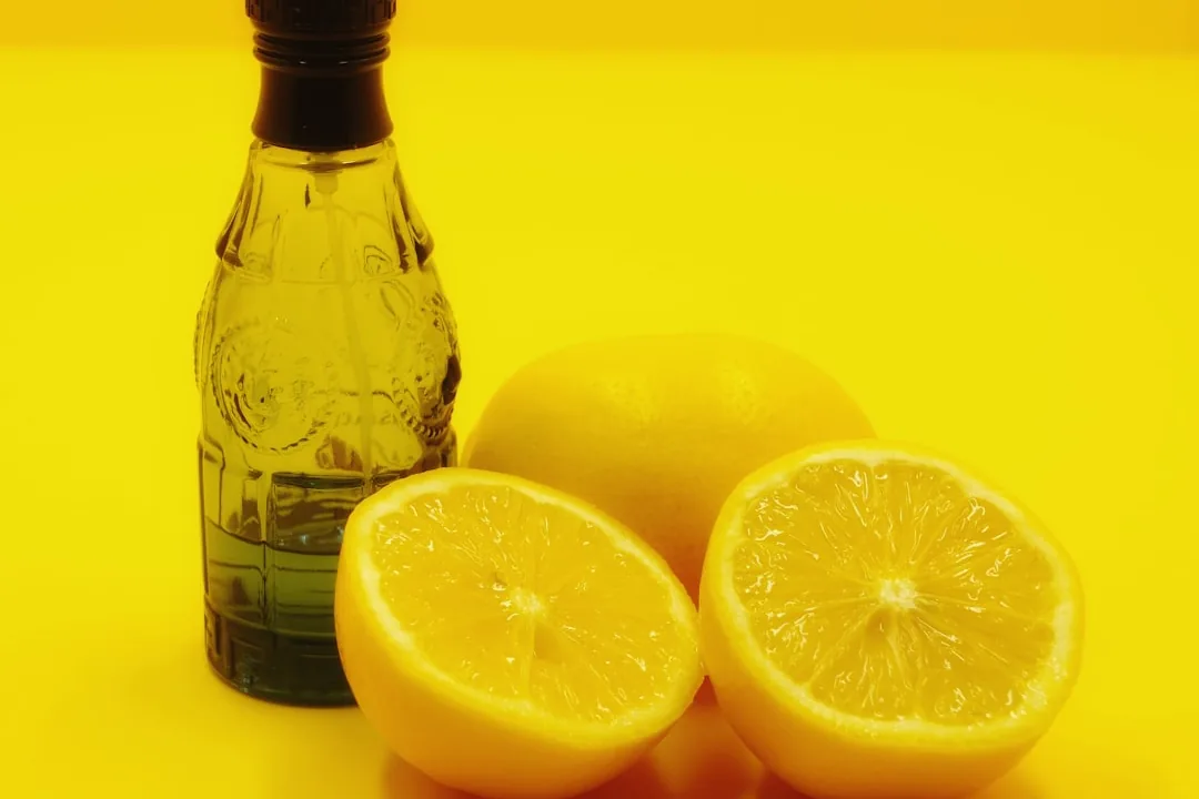 Lebanese Lemon Salad Dressing