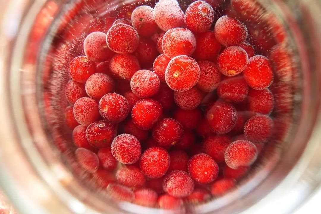 Fruit Compote