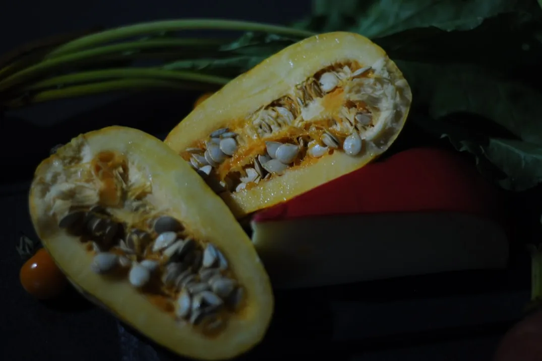 Stuffed Summer Squash