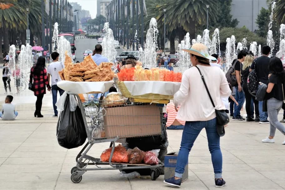 Fermented Salsa Verde